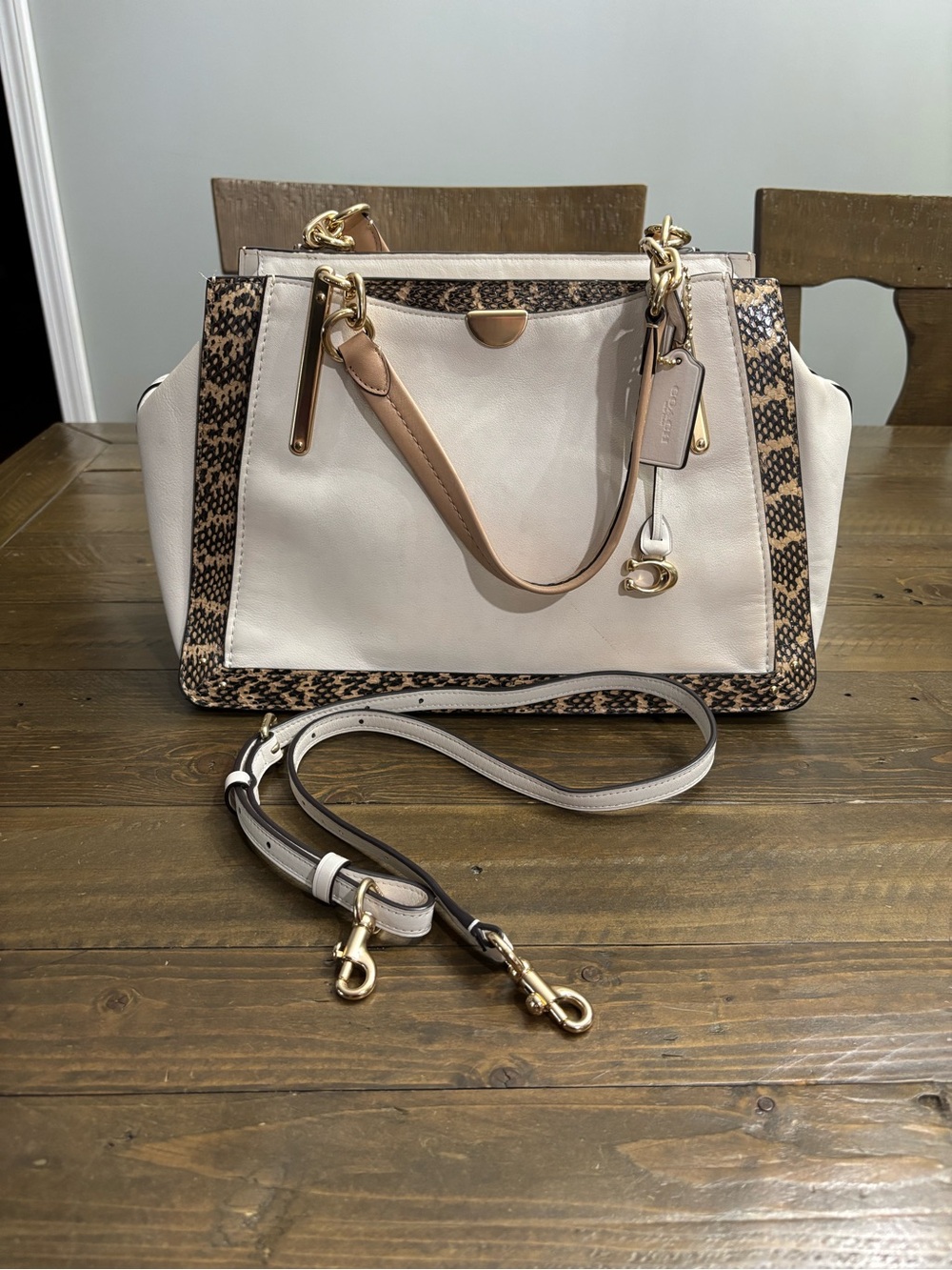 Coach Dreamer 36 in Colorblock with Snake Detail